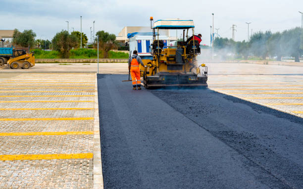 Best Driveway Pavers Contractor  in Williamstown, KY